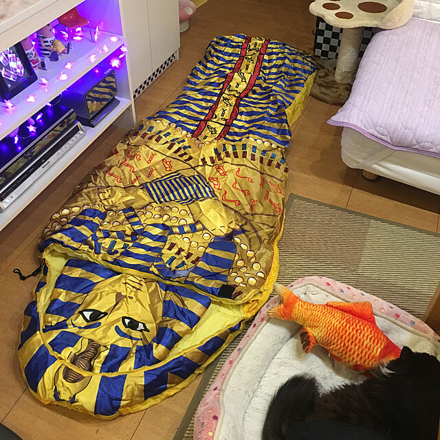 kanaのRuikey-Ruikey 猫のクッション　猫のおもちゃ　魚クッション　抱き枕　キャットニップの香り入れ　かわいい　リアル　赤い鯉　クッ ション　真空包装　20cm　30cm　40cm (30cm)の家具・インテリア写真