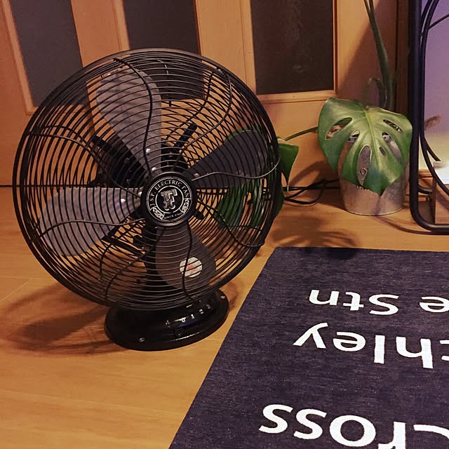 ジャーナルスタンダードファニチャー 扇風機