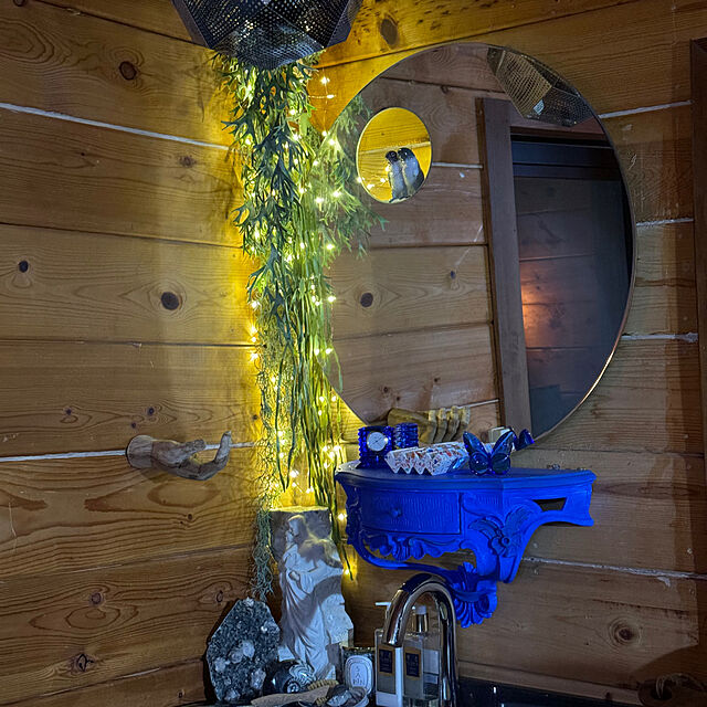 ZADDYのLladró-LLADRÓ Parrot Shine I ウォールミラー磁器ミラーの家具・インテリア写真