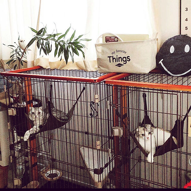 yokkochanのジェックス-GEX ピュアクリスタル ドリンクボウル サークル・ケージに取り付け 飲みやすい浅皿形状 軟水カートリッジ1個付き 猫用の家具・インテリア写真