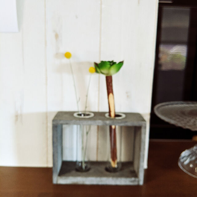 shizuponのスパイス-ボールペン かわいい 造花 観葉植物 イミテーション 植物 BOTANICAL PEN CACTUS 6型アソート12本入りの家具・インテリア写真
