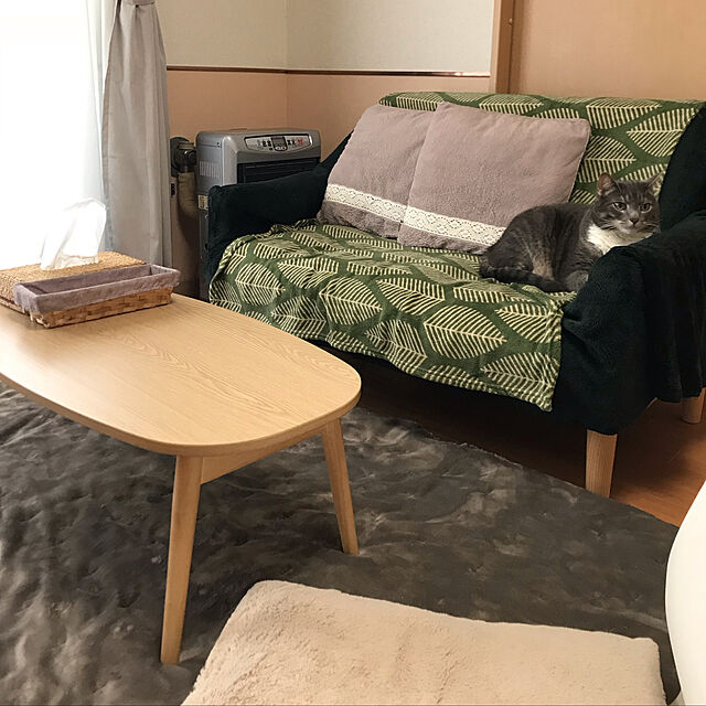 Machikoの無印良品-再生ペットのポリエステル使い片面フリースひざ掛け／グリーン ７０×１１０ｃｍ／グリーンの家具・インテリア写真