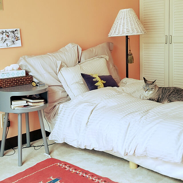 neoのニトリ-枕カバー セミロングサイズ(Nホテル LMO) の家具・インテリア写真