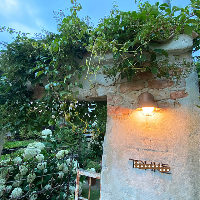 misacoの-花木 庭木の苗/アジサイ（アメリカ）：アナベル4～5号ポットの家具・インテリア写真