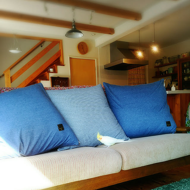 keikorinのニトリ-ジャンボクッションカバー(ジェノアニットT)  『送料有料・玄関先迄納品』の家具・インテリア写真
