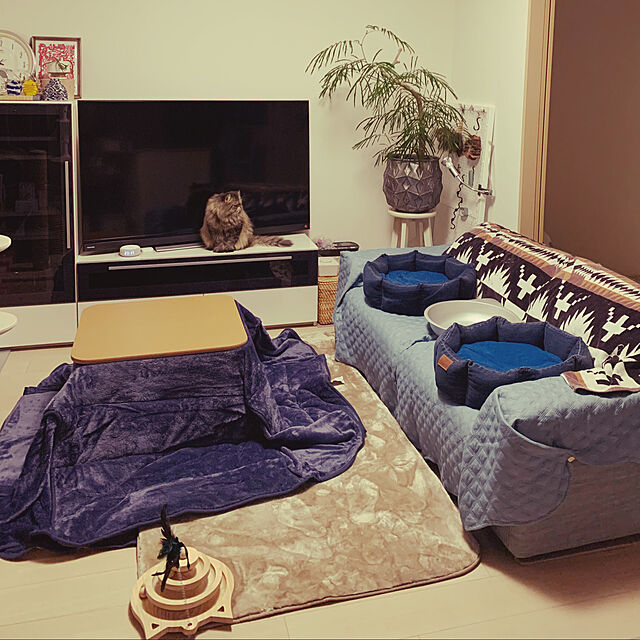 musamugiのニトリ-吸湿発熱＋蓄熱フロアマット(Nウォーム i BE 95X185) の家具・インテリア写真