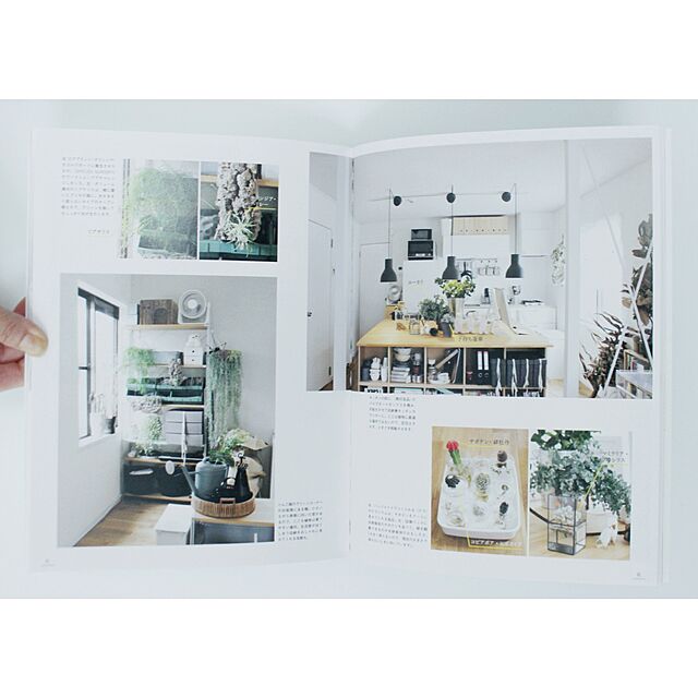 Atsushiのパイインターナショナル-グリーンで楽しむインテリアの家具・インテリア写真
