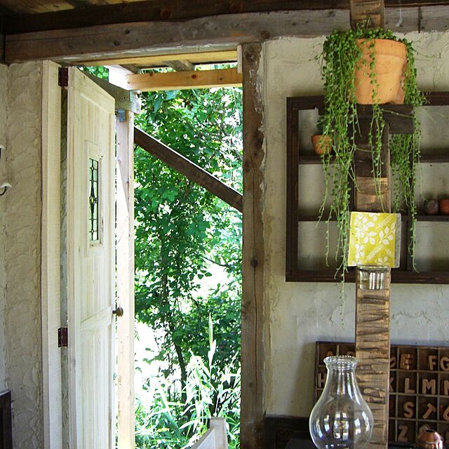 yappiの-多肉植物 グリーンネックレス 陶器鉢植えの家具・インテリア写真