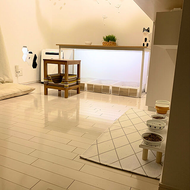 bikkeの-猫壱　ハッピーダイニング　脚付ウォーターボウル　Green　関東当日便の家具・インテリア写真