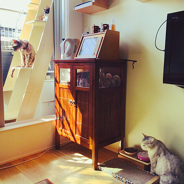 sakura_171220のコンポジット-ottostyle.jp キャットシェルフ 【ビーチ】 インテリア調 猫タワー おしゃれ 運動 棚 立てかけ 据え置きの家具・インテリア写真
