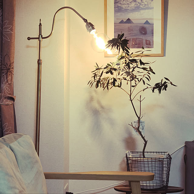 ずっと気になってた CHIPHY SOFTLIGHTING ソフトライト フロアランプ