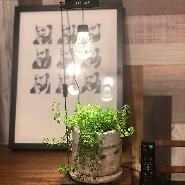 m12の-はせがわさとう LUCHE植物栽培用LEDスタンドライト　ルーチェザ・ライトの家具・インテリア写真