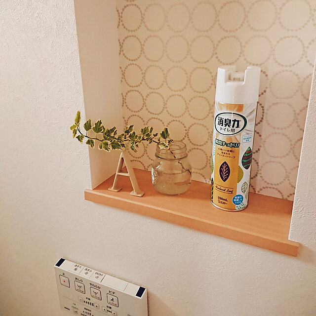 sachiの-エステー/トイレの消臭力スプレーフィンランドリーフの家具・インテリア写真