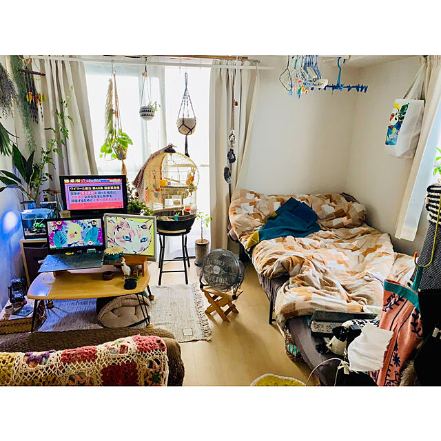 parrotのニトリ-棚・コンセント付きシングルパイプベッドフレーム(バジーナC BK) の家具・インテリア写真