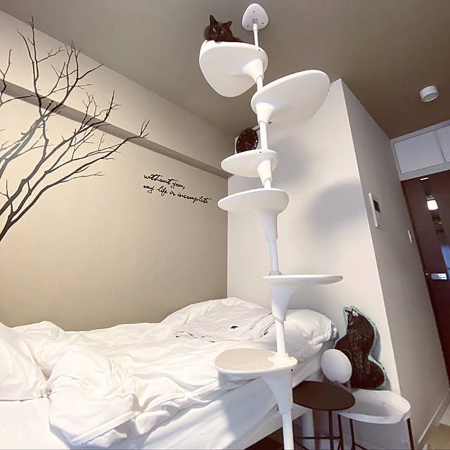 写真付きレビュー Oppo オッポ Bucketshelf ホワイト おしゃれ キャットタワー 突っ張り スリム 省スペース シンプルな猫タワー モダン W Rc24 の通販商品 口コミ情報 Roomclipショッピング