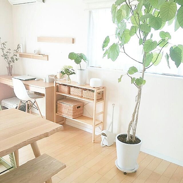 mayuru.homeの無印良品-立てられるジョウロの家具・インテリア写真