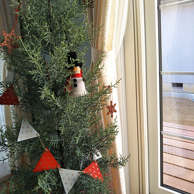 Tomomy_bace381の-サルフレア　【コニファー　北欧スタイル　クリスマスツリー　ガーデニング　庭木　植木】の家具・インテリア写真