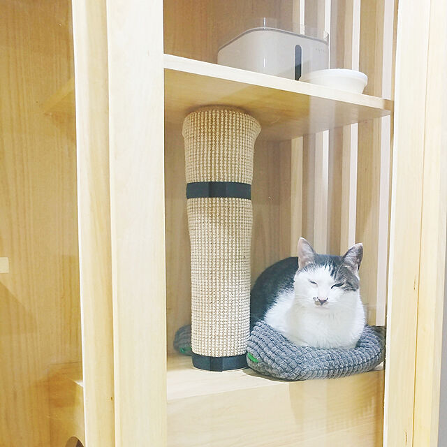 Virvaのイケア-【IKEA Original】LURVIG ペット用クッション 猫/小型犬用 グリーン 33x38 cmの家具・インテリア写真