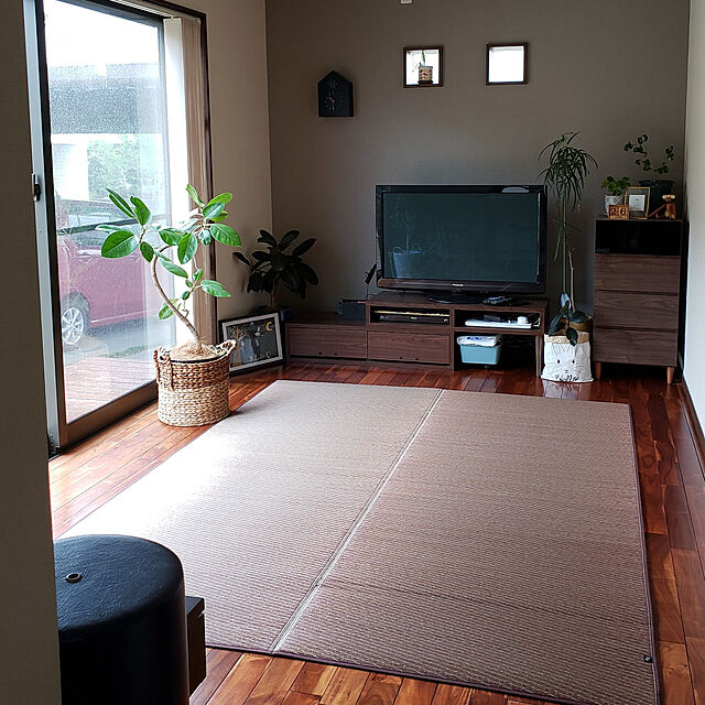 yuuukariのイケヒコ・コーポレーション-い草ラグ　Ｆソリッド　【イケヒコ】の家具・インテリア写真