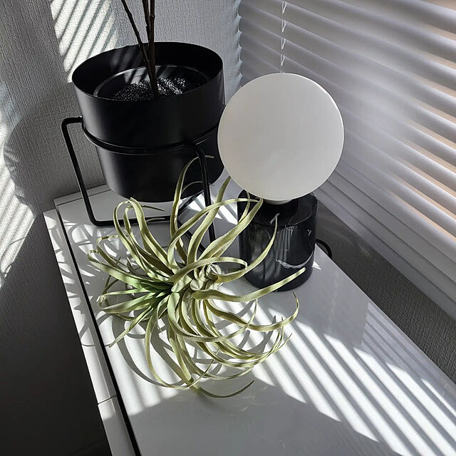 asokosamaのイケア-【あす楽】IKEA イケア LED電球 E26 440ルーメン ワイヤレス調光 ホワイト 白スペクトラム 球形 ホワイト 白フロストガラス m10441343 TRADFRI トロードフリ ライト おしゃれ シンプル 北欧 かわいい 照明器具の家具・インテリア写真