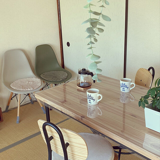 mikabom5のイケア-[IKEA/イケア/通販]FEJKA フェイカ 人工観葉植物, 室内/屋外用 つり下げ型/ユーカリ[C](c)(90466810)の家具・インテリア写真