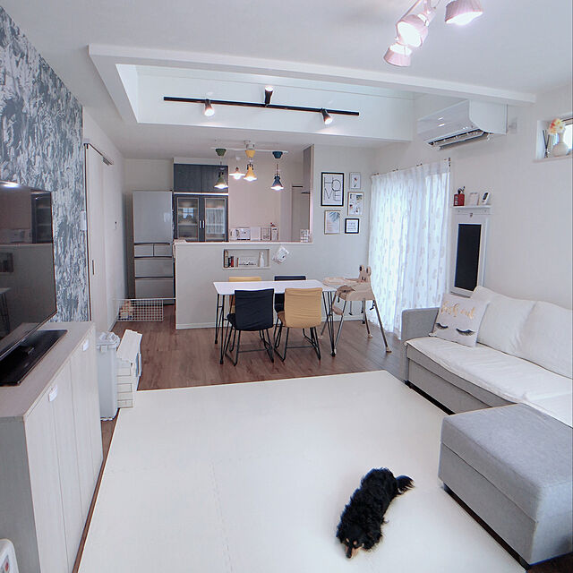Kazのニトリ-ダイニングチェア(ソフト YE) の家具・インテリア写真