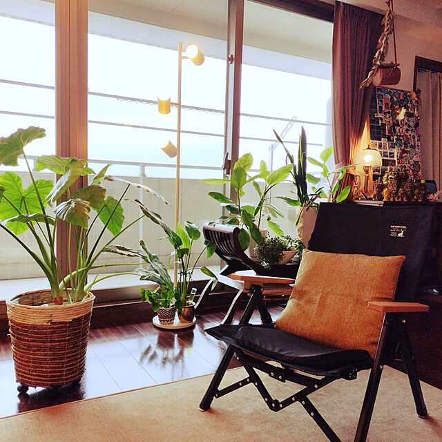 peach2のイケヒコ・コーポレーション-シェニール織カーペット 『モデルノ』 ベージュ 約200×250cm 4599039の家具・インテリア写真