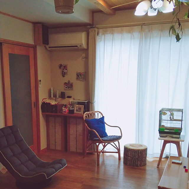 haruのニトリ-ラタンチェア(デスカンソN LBR) の家具・インテリア写真