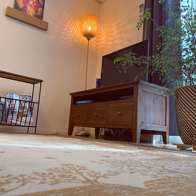Kazuki___roomの-シマトネリコ デザインの良い テラコッタ 鉢植え （横縞） 株立ち 素焼 陶器鉢 鉢 茶色 茶 こげ茶 ベージュ 苗 苗木 大型 8号 観葉植物の家具・インテリア写真