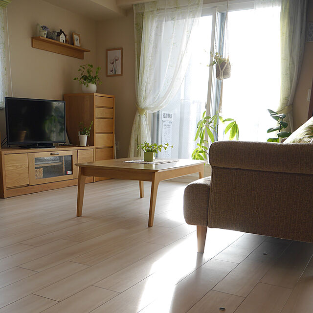 mimiの無印良品-アクアポット ペペロミア・セルペンス ４号の家具・インテリア写真