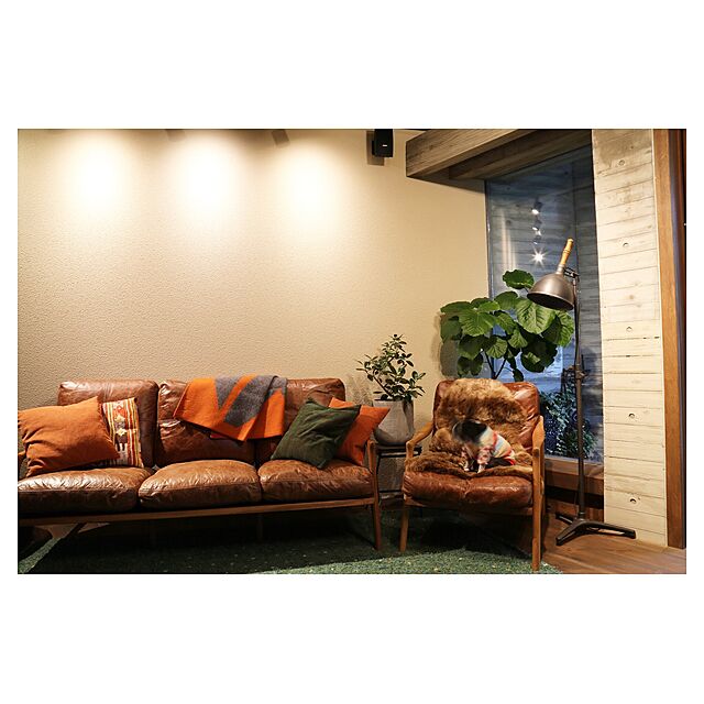 naoko-.-tの-KLIPPAN ×mina perhonen ブランケット ハーフ 90×130cmの家具・インテリア写真