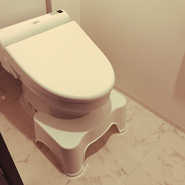 mmの-My Vision うまくしゃがーむ トイレ 洋式 和式 しゃがむ 座る 体勢 踏み 台 便所 お手洗い マンション しゃがみ込む MV-FUMIFUMIの家具・インテリア写真