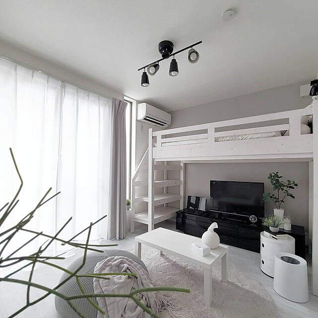 asokosamaのニトリ-アクセントラグ(SシャギーGY 180エンケイ) の家具・インテリア写真
