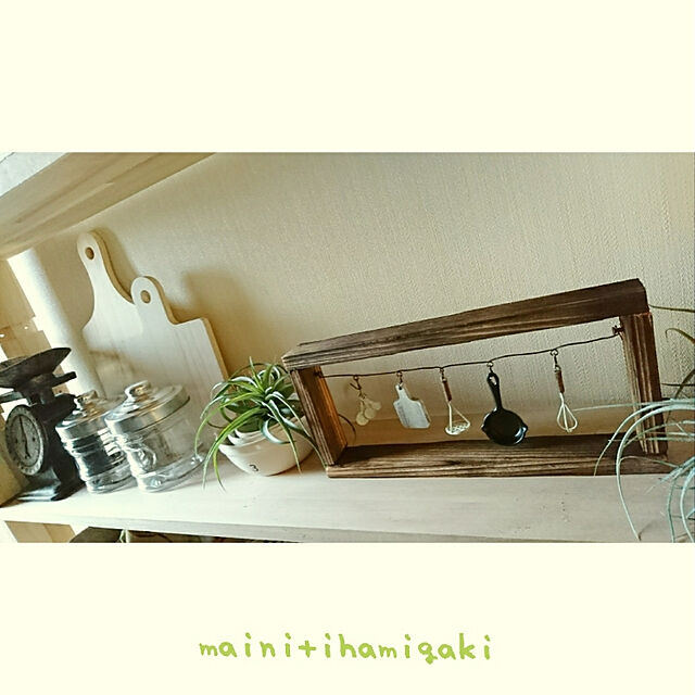 hiroの-エアプランツ チランジア テクトラムスモール(5〜7cm前後) エアープランツの家具・インテリア写真