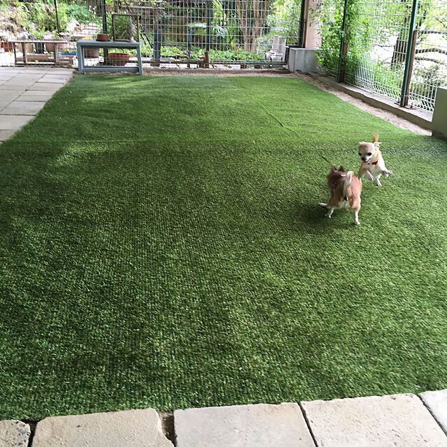 Hanagoboの-人工芝 芝丈20mm 2m×5m パークシア・エコノミー ハイグレード 在庫限り 春 ガーデンの家具・インテリア写真