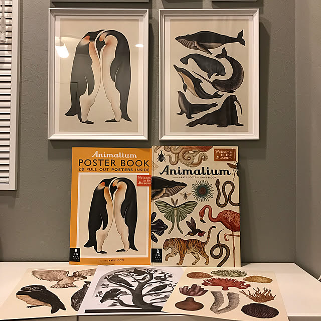 moppoのBig Picture Press-Animalium Poster Book (Welcome To The Museum)の家具・インテリア写真