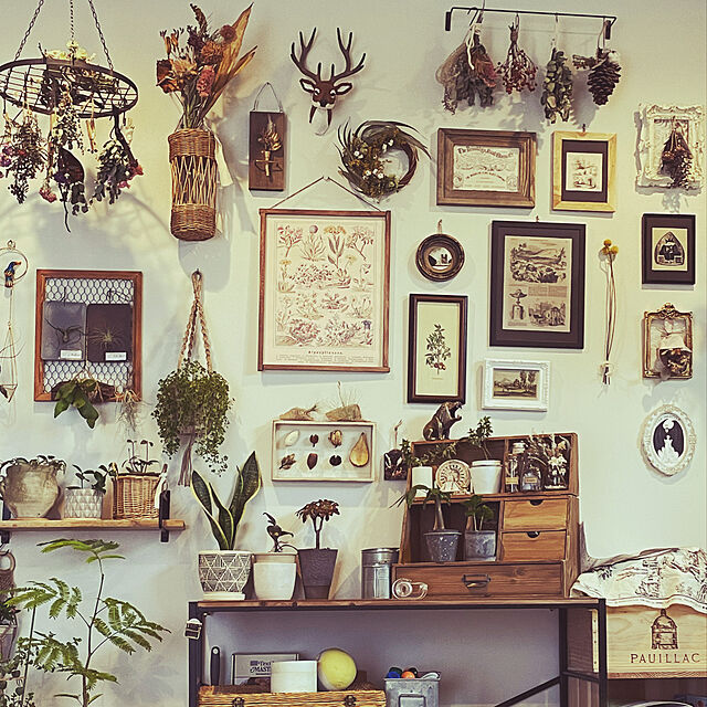 chieの-【資材】 壁掛け 植物 ストーンウッドプレートの家具・インテリア写真