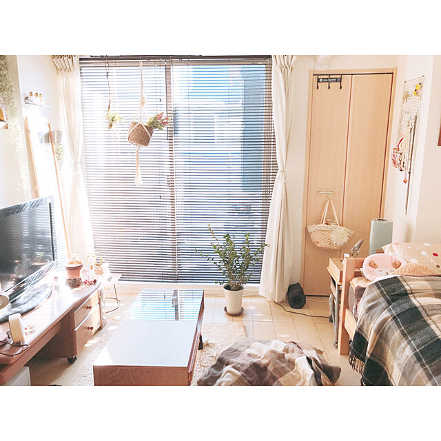 mikiteacupのニトリ-木目ブラインド(リンクス3 DBR 60X138) の家具・インテリア写真