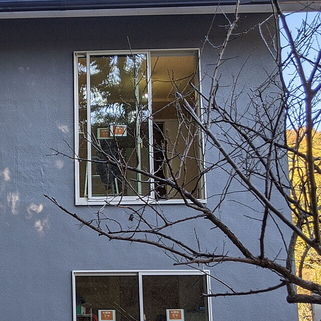 LIXIL 引き違い窓 半外付 17420 セレクトサッシＳＧ W1780×H2030 mm LIXIL テラスサイズ 2枚建 アルミサッシ 引違い  窓 ガラス リフォーム DIY サッシ、窓