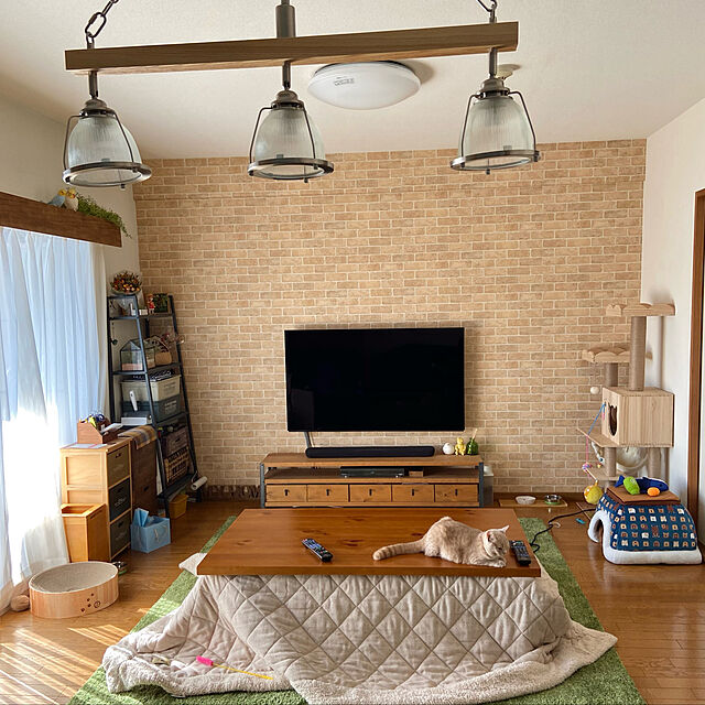 tomoのニトリ-アクセントラグ(SシャギーGR 200X290) の家具・インテリア写真