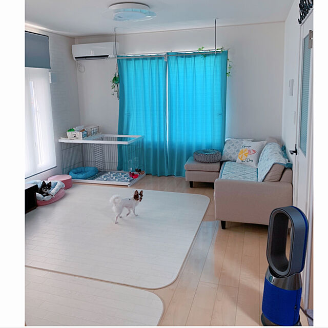 makoの-ロールスクリーン ニチベイ Sシリーズ シースルータイプ 幅31〜100cm×丈251〜300cm迄 ロールカーテン 日本製 Nichibeiの家具・インテリア写真