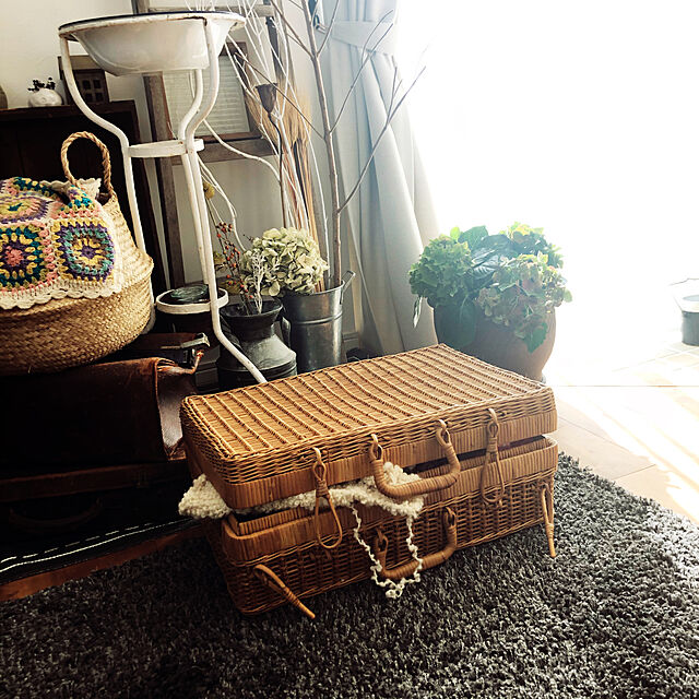ponponHOUSEのニトリ-ウィルトン織りシャギーラグ(ロータス GY 100X140) の家具・インテリア写真