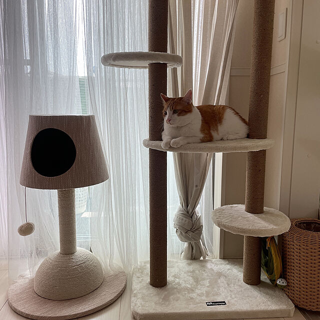Mwpo【ポイントアップ中】キャットタワー 大型猫 突っ張り 木登り ...