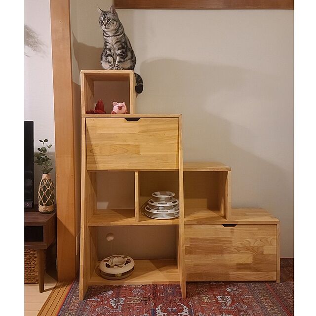 lovepeaceの貢-mitsugu--貢(mitsugu) 猫用おもちゃ もちまる日記 とん様の家具・インテリア写真