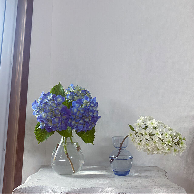 mochi366の-『水栽培&フラワーポット』ガラス　ビン　花瓶　飾り　びん　水栽培　クリア　シンプルの家具・インテリア写真