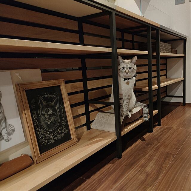 Atelier_tamakiの-バリバリベッドM(1個)の家具・インテリア写真