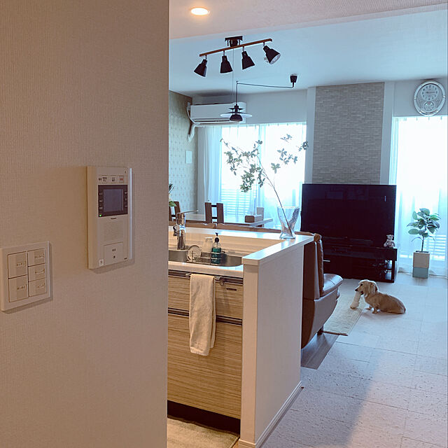 zuzuのオカ-PLYS ベイス ウィル ディスペンサーの家具・インテリア写真
