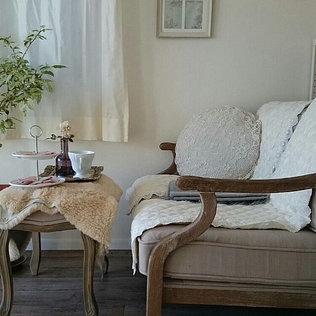 figaroの-ハイビスカス 斑入り葉 スノーフレーク（5号）の家具・インテリア写真