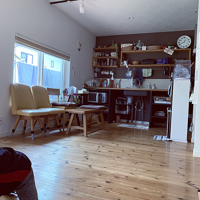 niRieのニトリ-カラフルダイニングチェア(Nトーン 03 LBR) の家具・インテリア写真