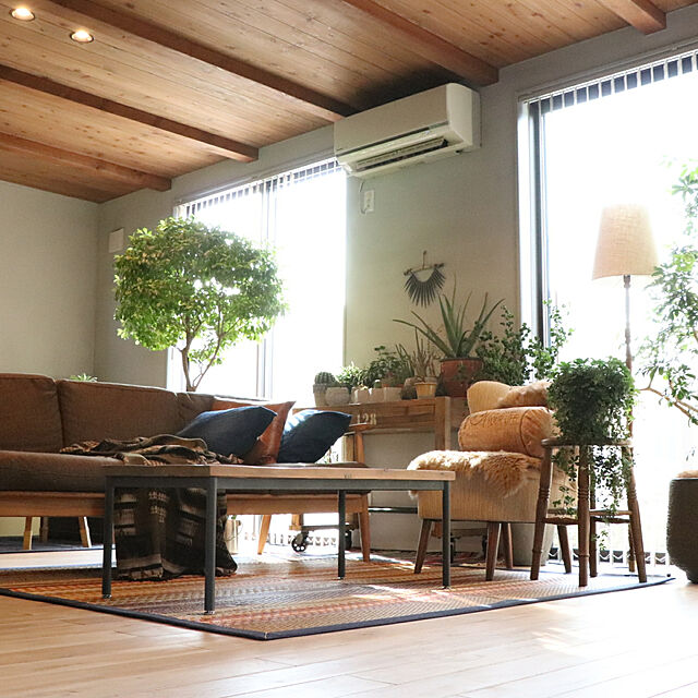 bluestoneの-い草 ラグ カーペット 3畳 国産 エスニック調 DXデニムラルフ ブラウン 約191×250cm 裏:不織布の家具・インテリア写真